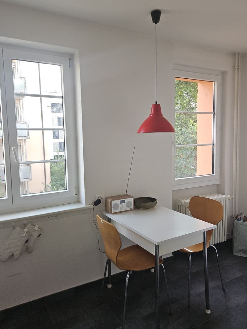 Charmante möblierte 2,5-Zimmer-Wohnung in Wiedikon zur Untermiete (5)