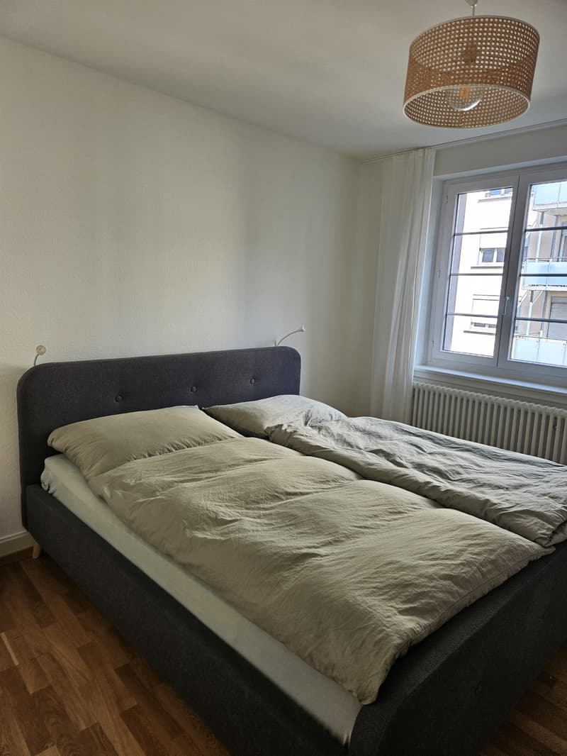 Charmante möblierte 2,5-Zimmer-Wohnung in Wiedikon zur Untermiete (11)