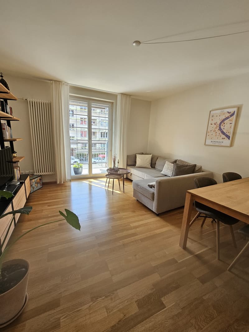 Charmante möblierte 2,5-Zimmer-Wohnung in Wiedikon zur Untermiete (2)
