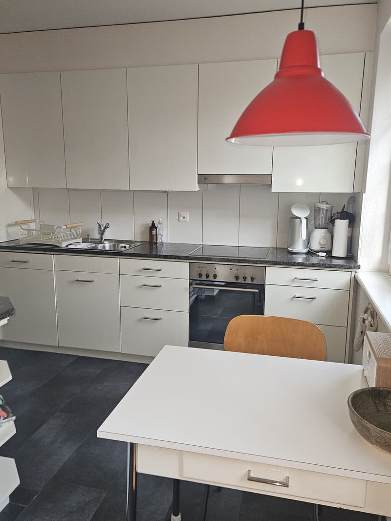 Charmante möblierte 2,5-Zimmer-Wohnung in Wiedikon zur Untermiete (3)
