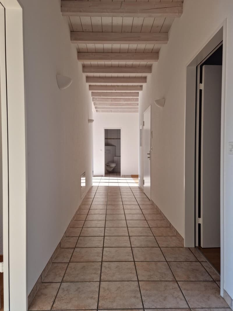 Wohnung direkt an der Emme (8)