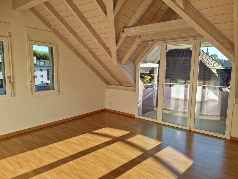 Wohnung direkt an der Emme (2)