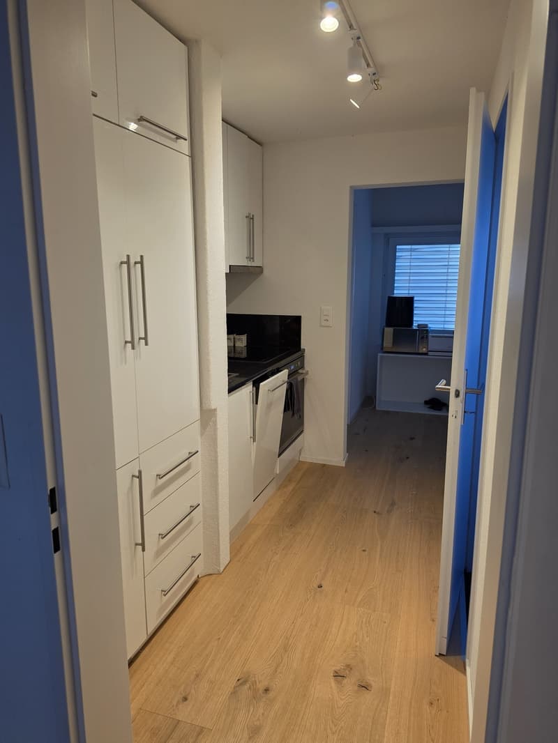 2.5 Zimmer Dachwohnung (6)