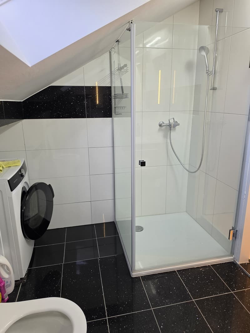 2.5 Zimmer Dachwohnung (11)