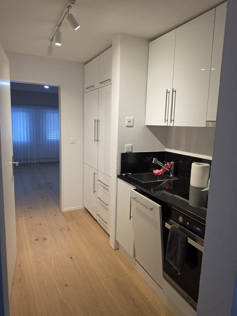 2.5 Zimmer Dachwohnung (9)