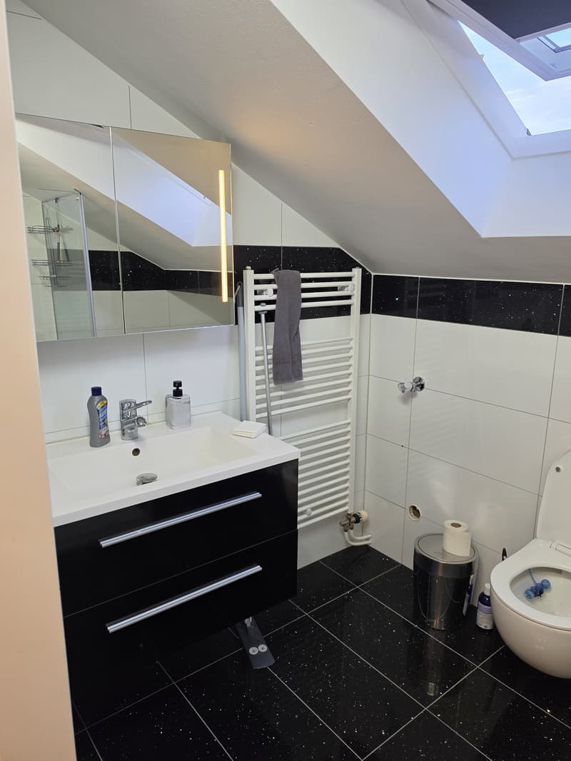 2.5 Zimmer Dachwohnung (10)