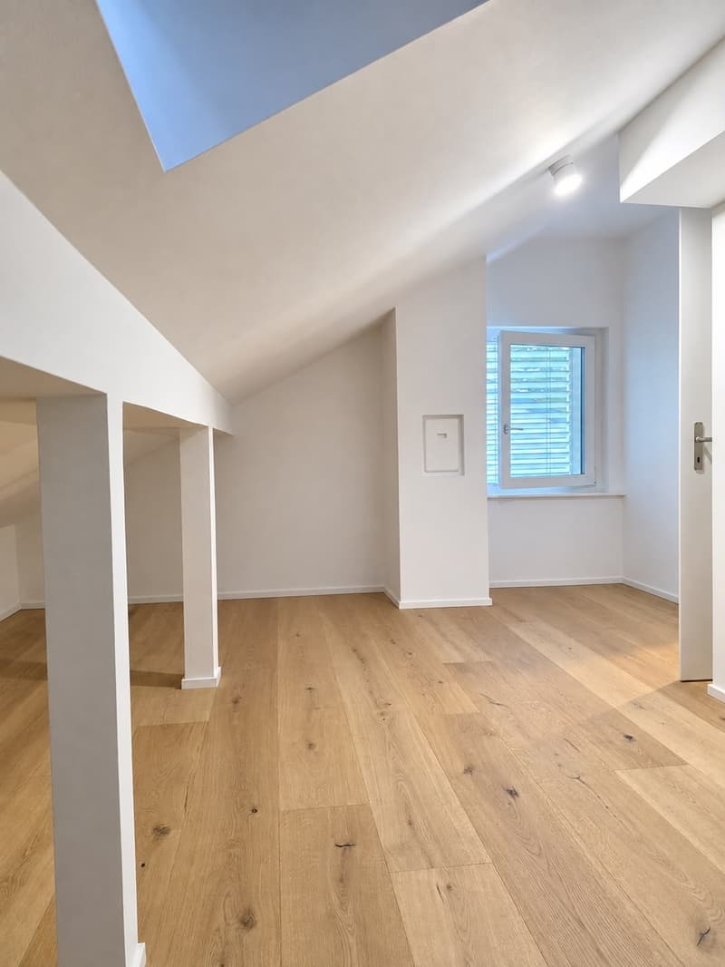 2.5 Zimmer Dachwohnung (3)