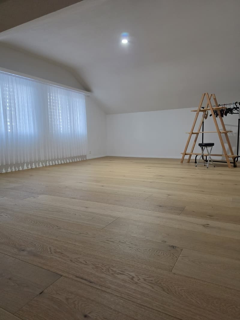 2.5 Zimmer Dachwohnung (7)
