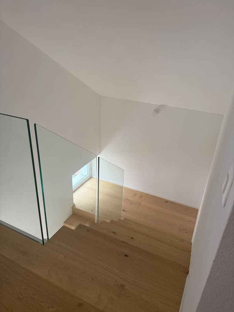 2.5 Zimmer Dachwohnung (4)