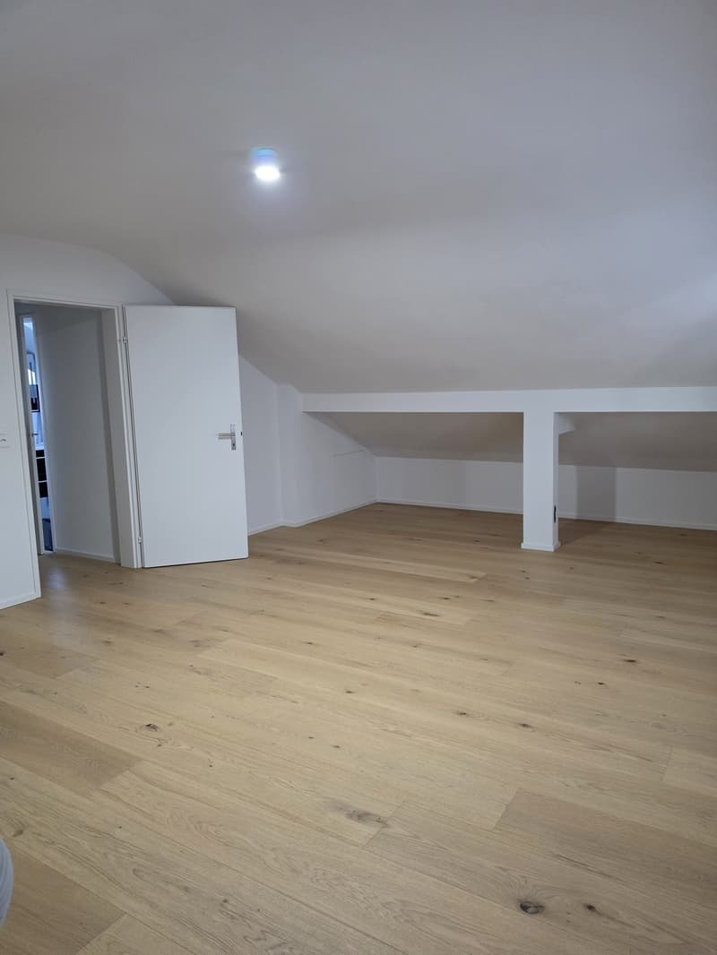 2.5 Zimmer Dachwohnung (1)