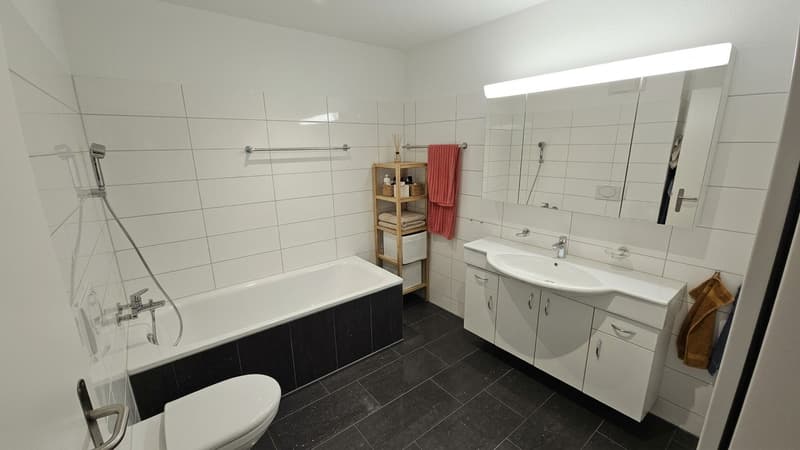 Familienfreundliche 4,5 Zimmerwohnung (9)