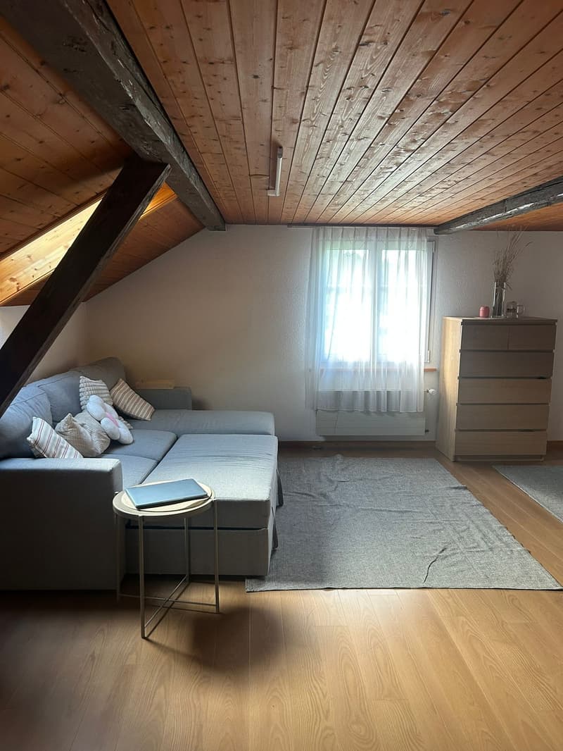 Gemütlliche 4 1/2 Zi. Wohnung neben Landwirtschaftswiese (1)