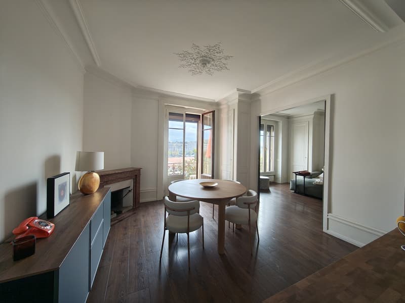 Plainpalais, balcon avec vue sur le Salève (1)