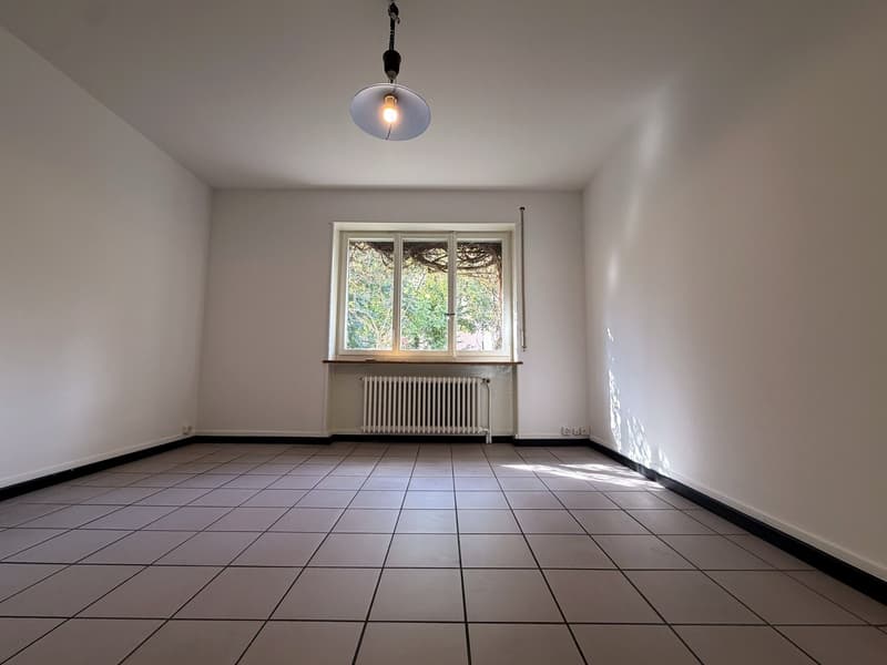 Frisch renovierte 4½-Zimmer-Wohnung mit Garten und Wintergarten  hohe, helle Räume (6)