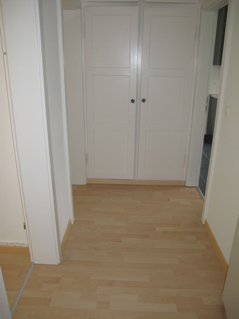 EXKLUSIVE 2.5-ZIMMERWOHNUNG ZU VERMIETEN (5)