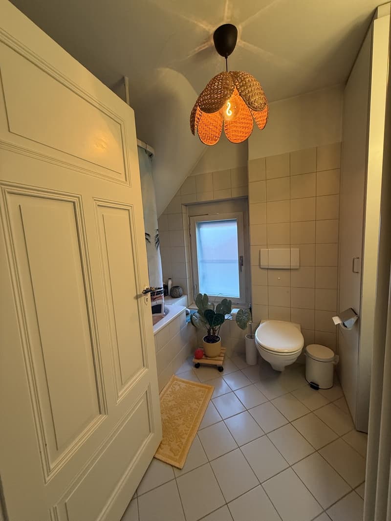 3 Zimmer-Wohnung, 3006 Bern (6)