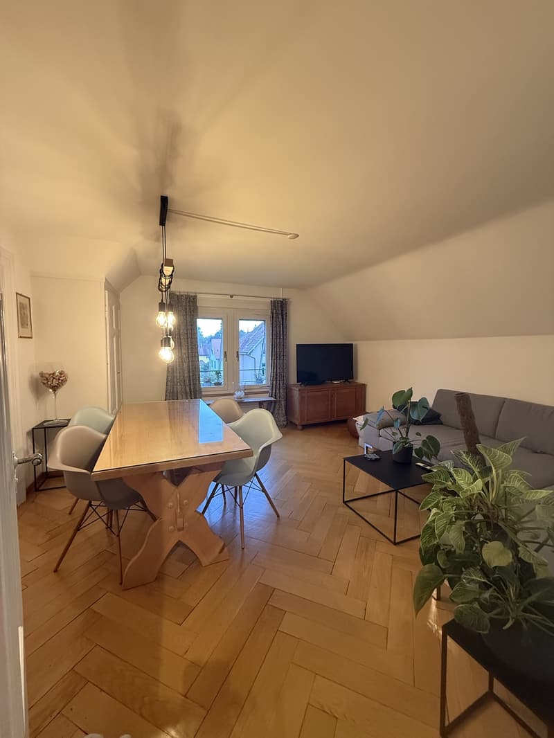 3 Zimmer-Wohnung, 3006 Bern (1)