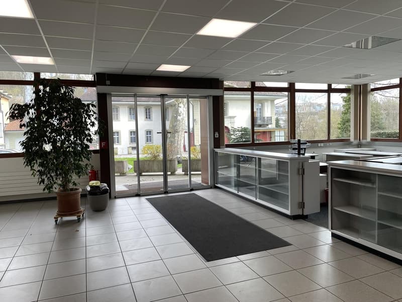Büro-, Gewerbe-/Lagerräumlichkeiten (2)