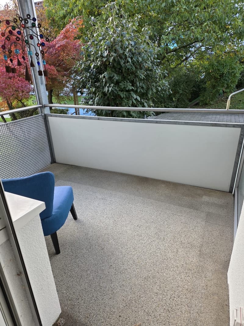Fully Furnished Apartment for Sublet Near the Lake (2)
