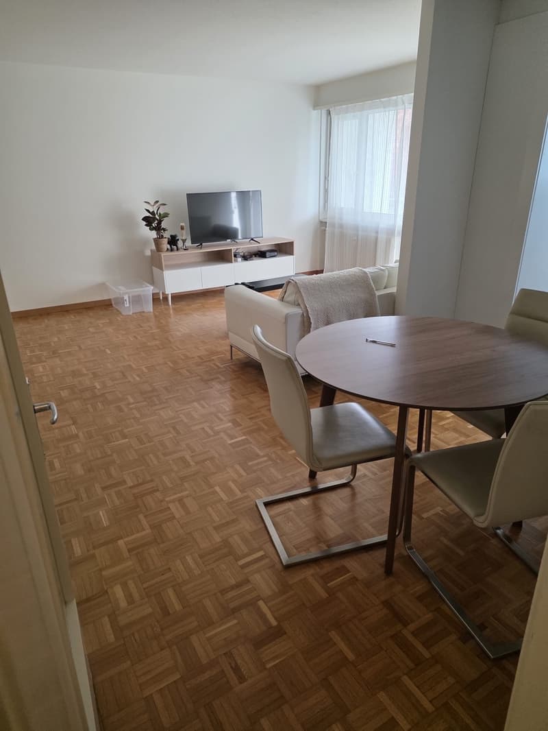 Fully Furnished Apartment for Sublet Near the Lake (1)