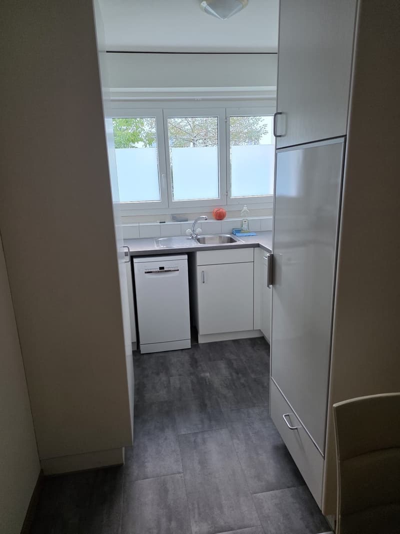 Fully Furnished Apartment for Sublet Near the Lake (3)