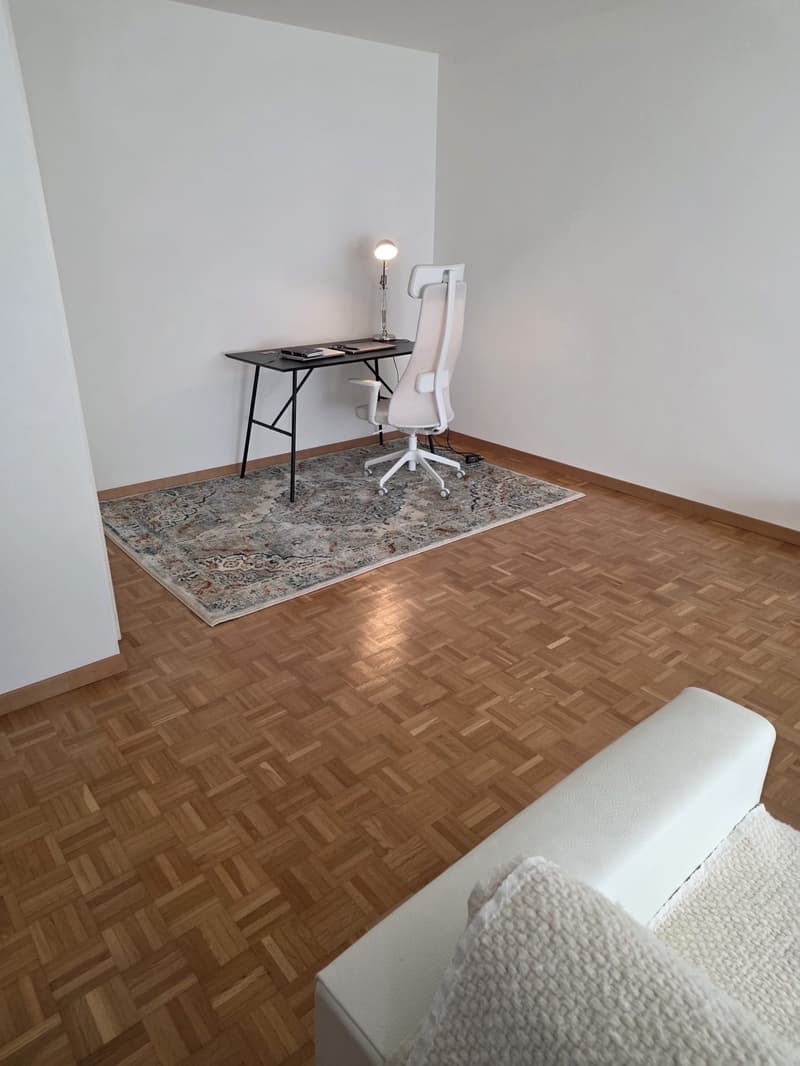 Fully Furnished Apartment for Sublet Near the Lake (4)