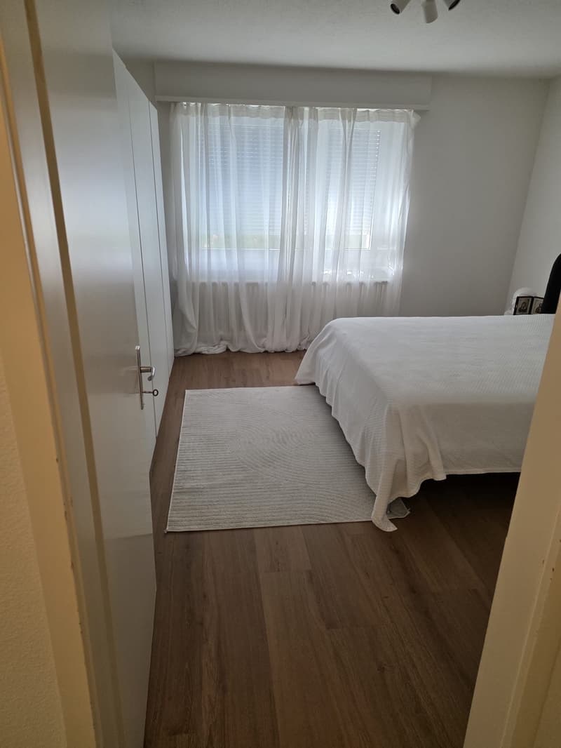 Fully Furnished Apartment for Sublet Near the Lake (5)