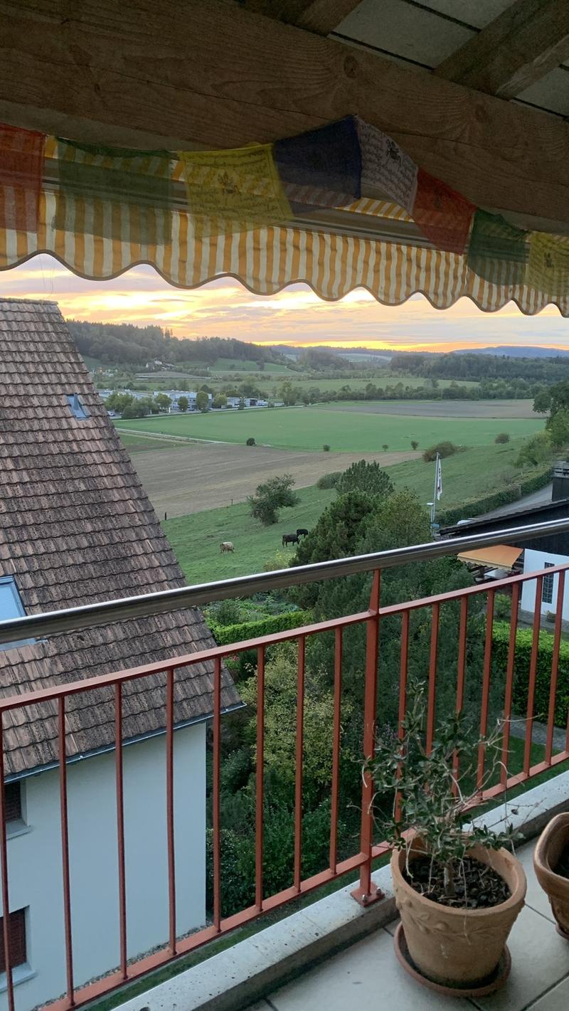 Grosse, lichtdurchflutete Wohnung mit Weitblick in Wettswil am Albis  Voll möbliert befristet für 1 Jahr (7)