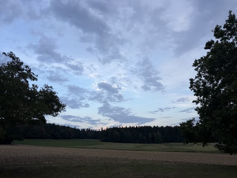 Neighbourhood