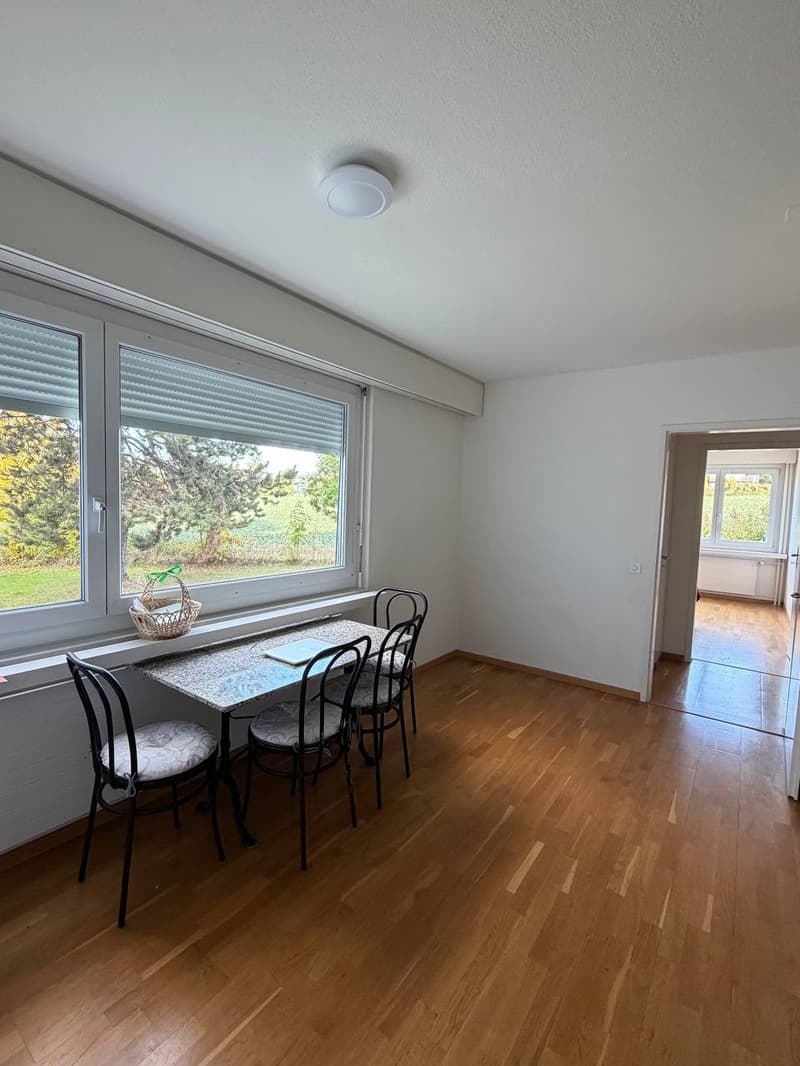 Spacious 4.5 apartment with private exit to garden in Zollikerberg (1)
