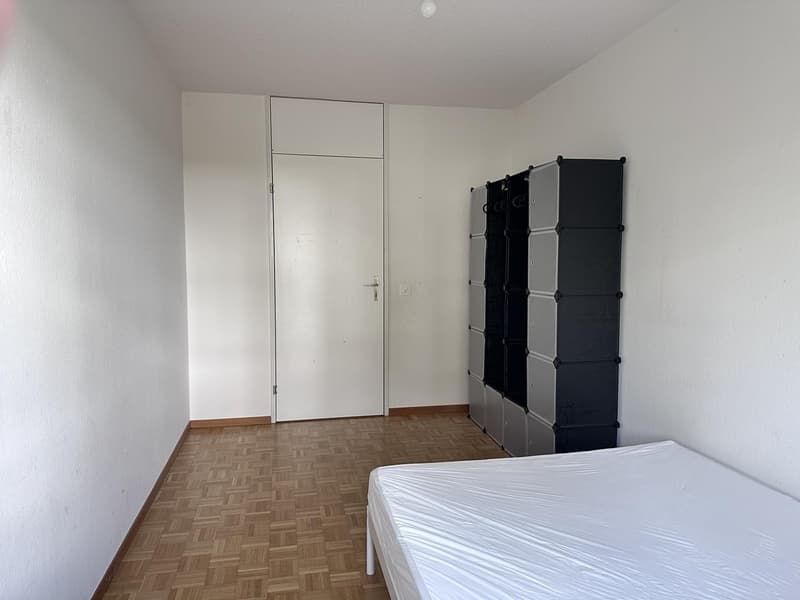 Single furnished room in a shared flat in Zürich (limited till 30. September 2027) (5)