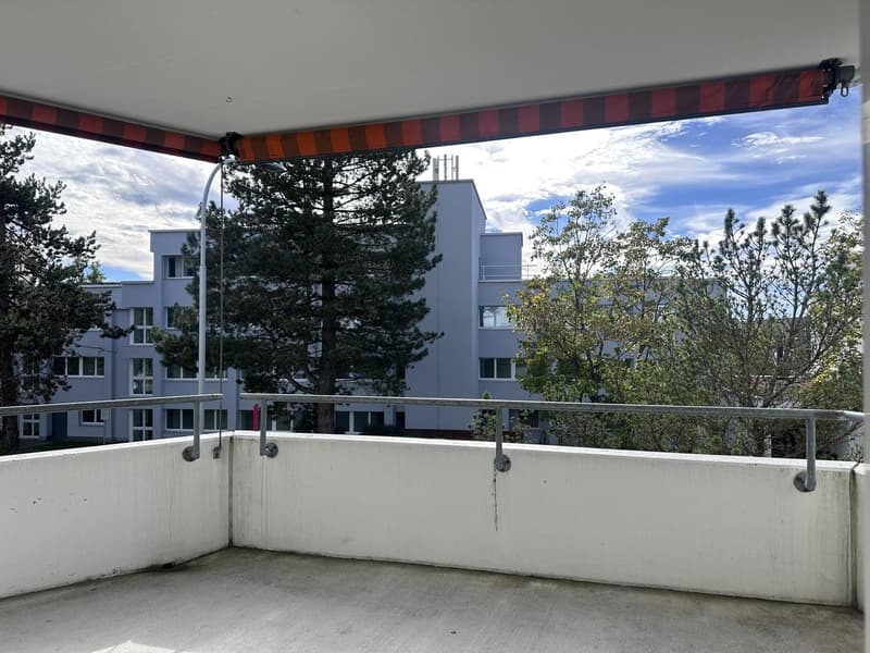 Single furnished room in a shared flat in Zürich (limited till 30. September 2027) (8)