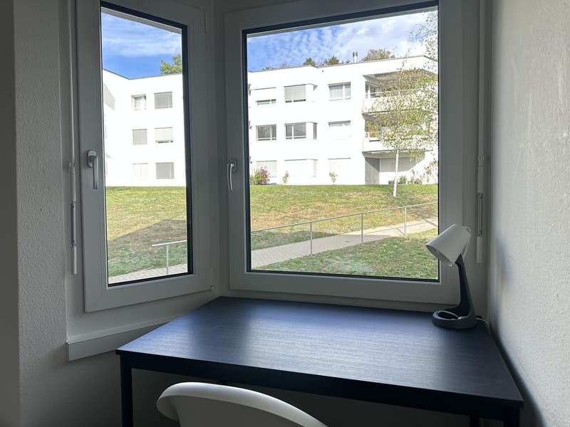 Single furnished room in a shared flat in Zürich (limited till 30. September 2027) (4)