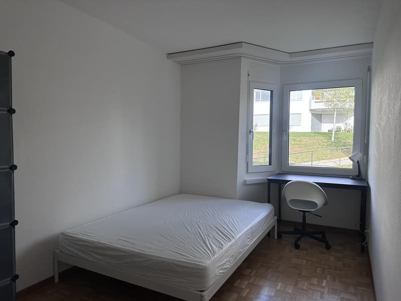 Single furnished room in a shared flat in Zürich (limited till 30. September 2027) (1)