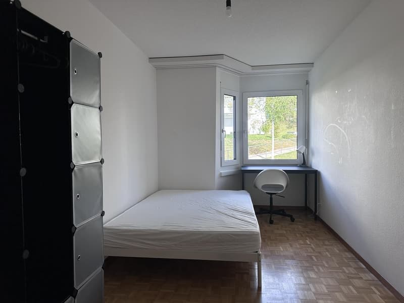 Single furnished room in a shared flat in Zürich (limited till 30. September 2027) (3)