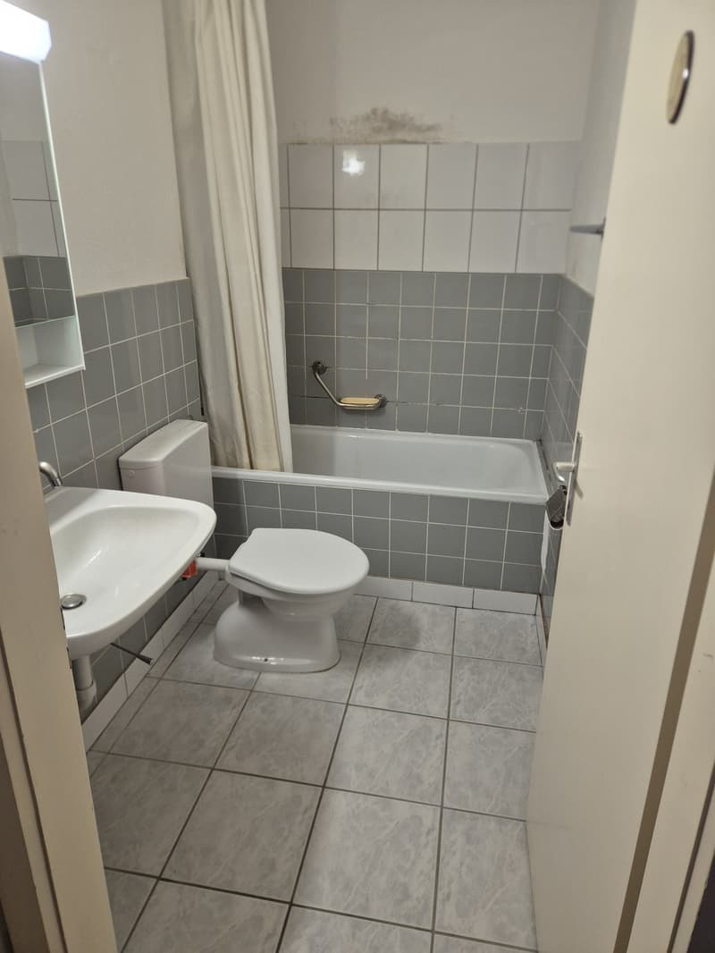 Helle 3.5-Zimmer-Wohnung, Unschlagbar zentrale Lage (6)