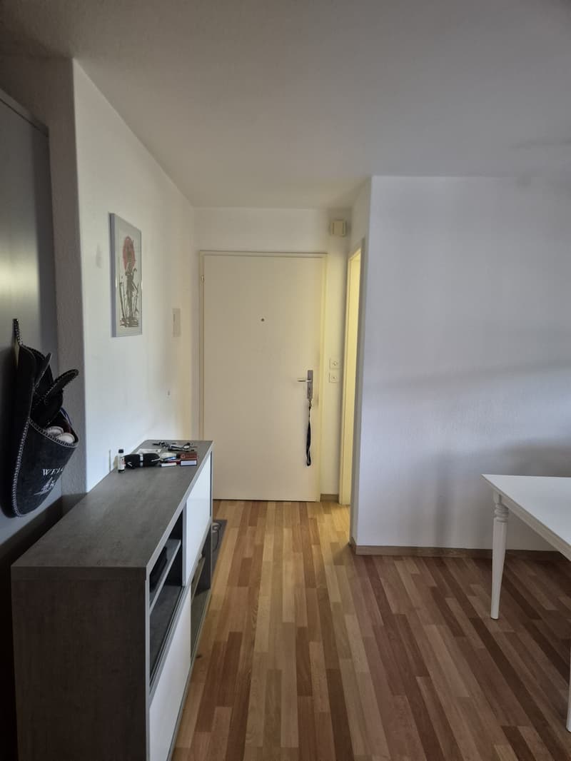 Helle 3.5-Zimmer-Wohnung, Unschlagbar zentrale Lage (3)