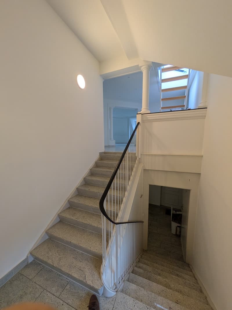 Über den Dächern der Stadt grosszügige Attikawohnung mit traumhafter Dachterrasse (2)