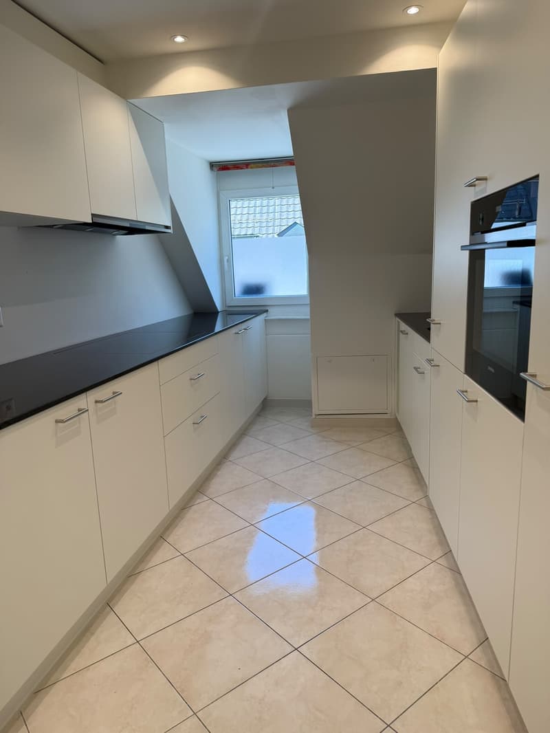Über den Dächern der Stadt grosszügige Attikawohnung mit traumhafter Dachterrasse (9)
