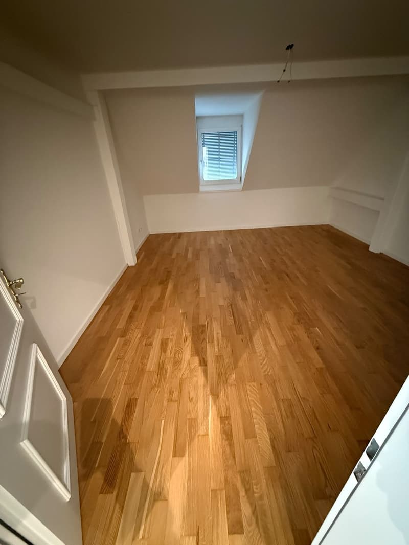 Über den Dächern der Stadt grosszügige Attikawohnung mit traumhafter Dachterrasse (11)