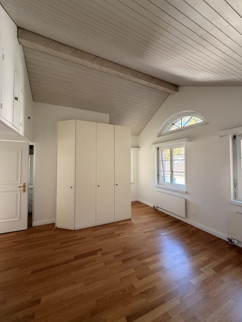 Wohnen mitten in der Stadt ruhig, stilvoll und mit besonderem Charme und eigenem SPA (10)