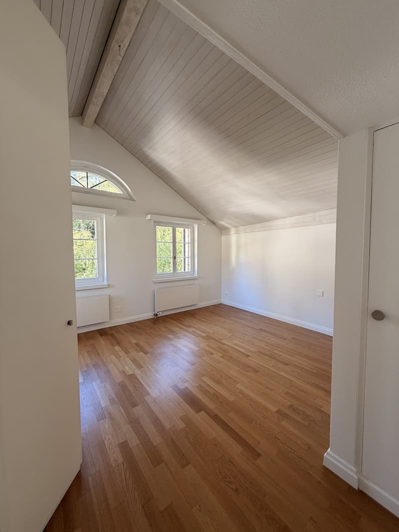 Wohnen mitten in der Stadt ruhig, stilvoll und mit besonderem Charme und eigenem SPA (9)