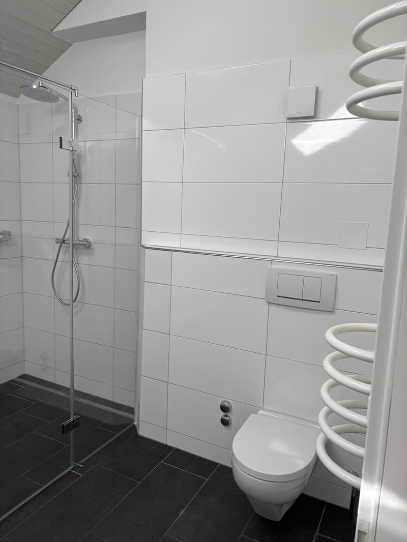 Wohnen mitten in der Stadt ruhig, stilvoll und mit besonderem Charme und eigenem SPA (5)