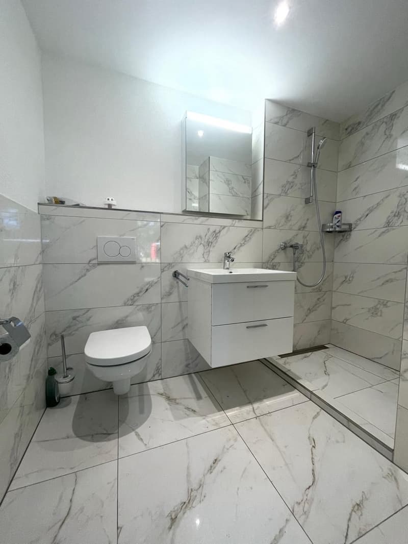 Modernes 1.5-Zimmer-Zuhause in St. Gallen ideal für Studierende (2)