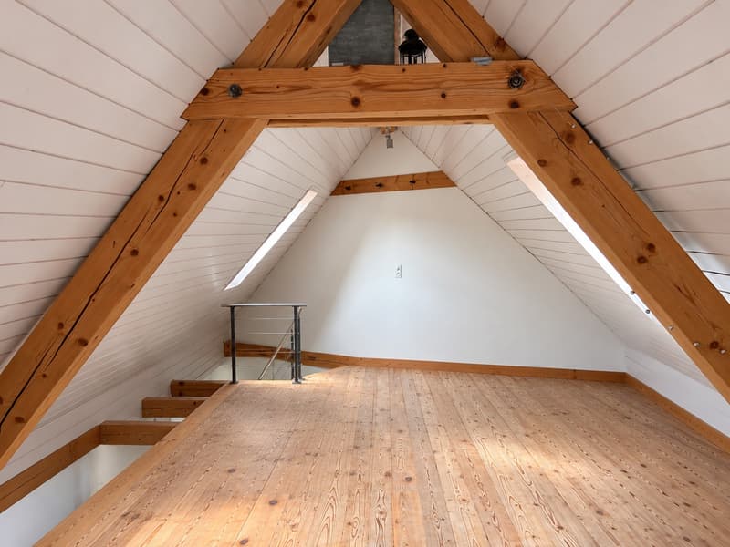 Grosszügige Dachwohnung mit privater Dachterrasse im Breitenrain (2)