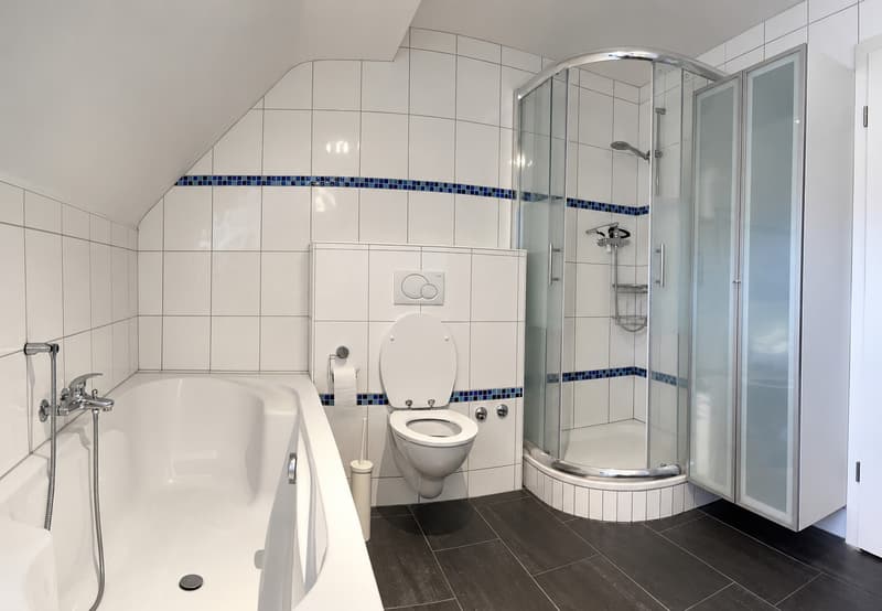 Grosszügige Dachwohnung mit privater Dachterrasse im Breitenrain (6)