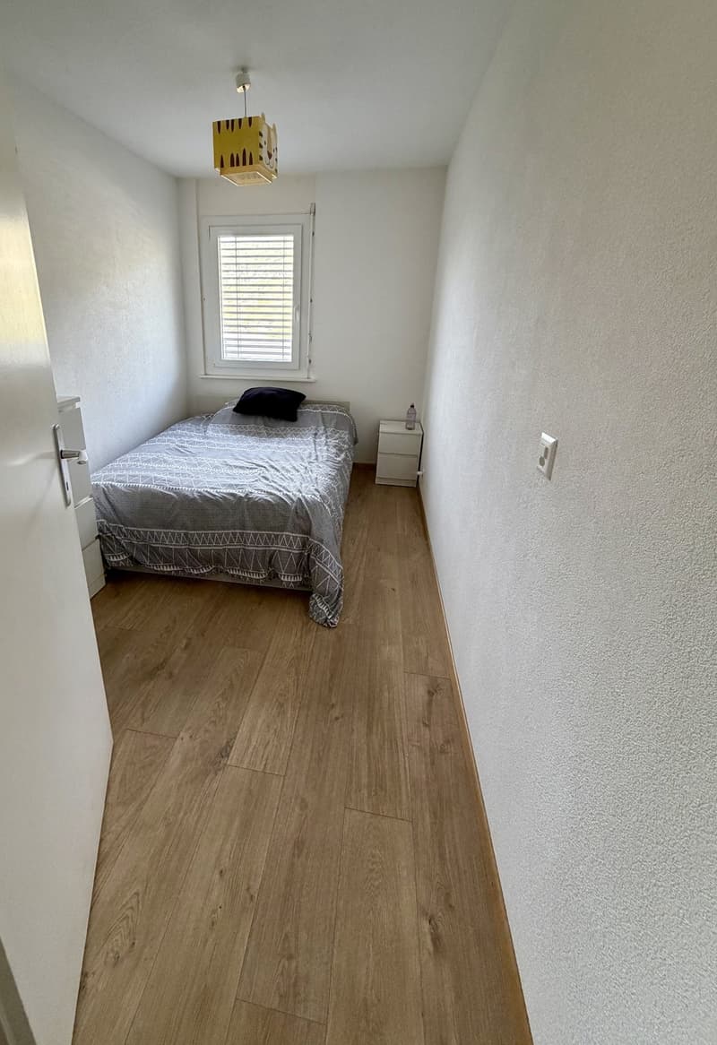 4.5 pièces rénové au 8e étage avec vue et balcons  disponible dès le 01.02.2027 (7)