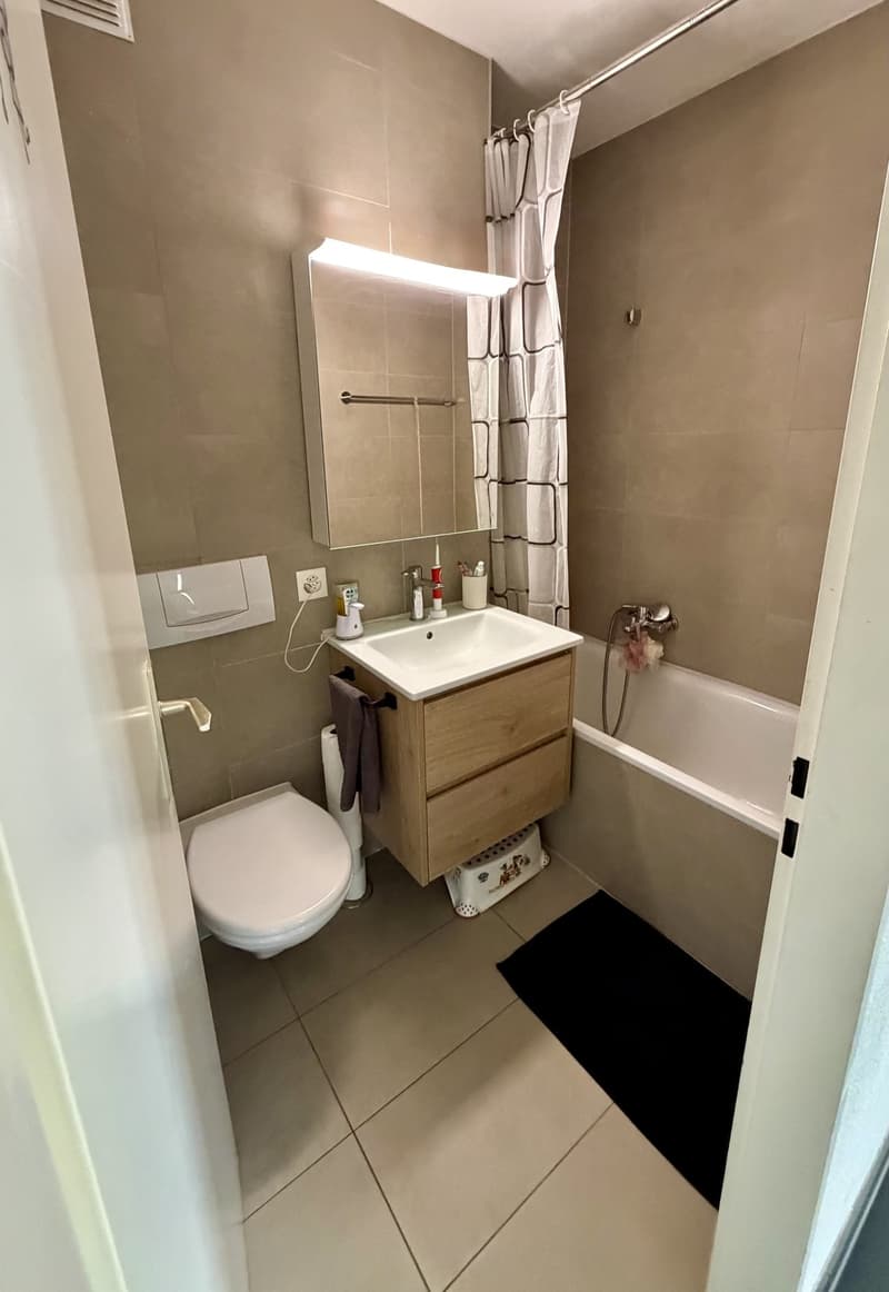 4.5 pièces rénové au 8e étage avec vue et balcons  disponible dès le 01.02.2027 (8)