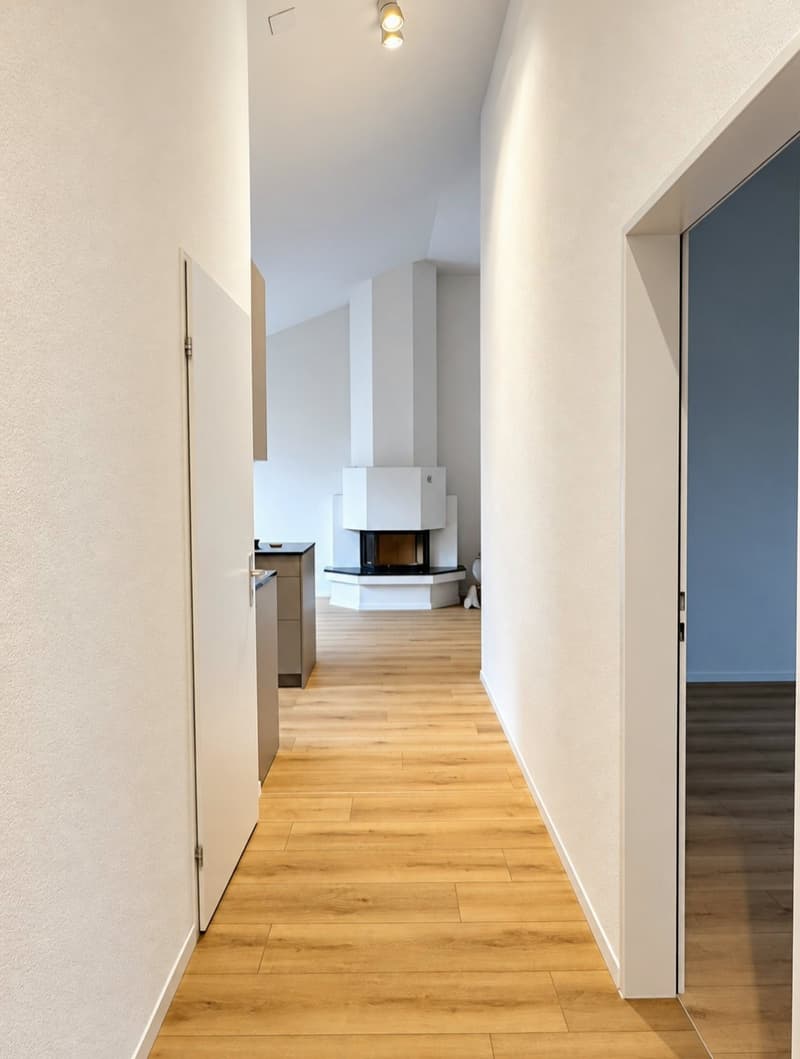 Erstbezug nach Komplettumbau Helle 4.5-Zimmer-Wohnung mit Cheminée (1)