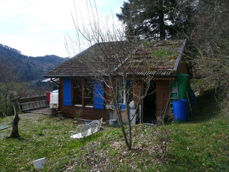 Wohnen am Waldrand im Chalet in Bärenwil in Wohngemeinschaft (2)